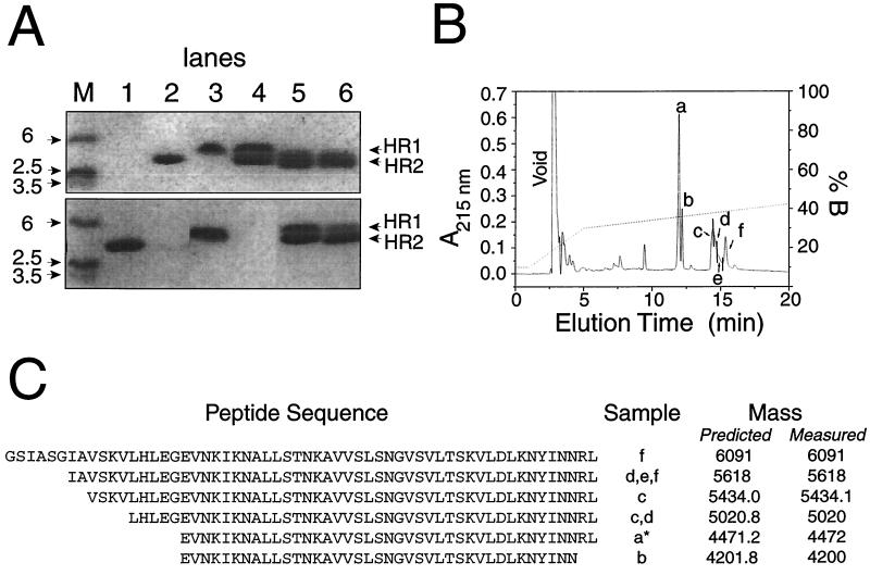 FIG. 6