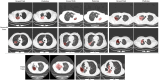 Fig. 9