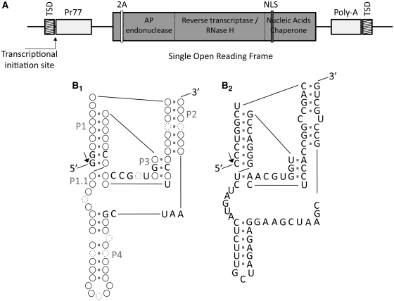 Figure 1.