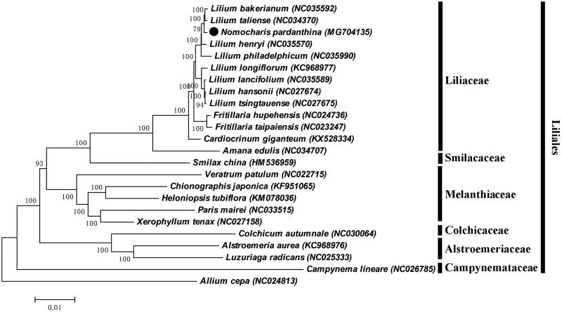 Figure 1.