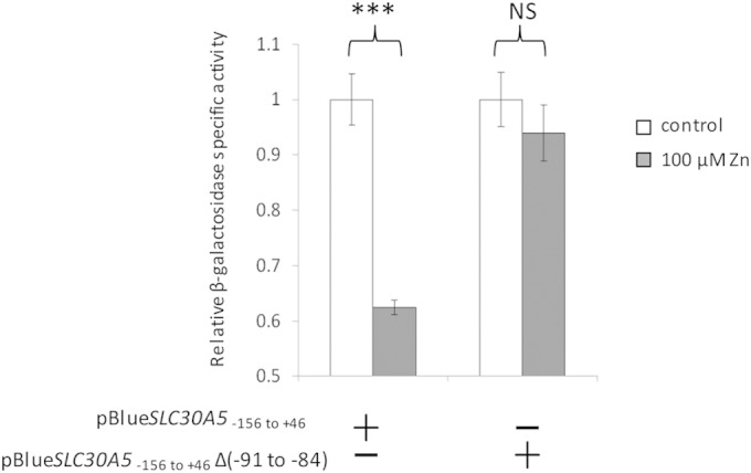 FIG 5