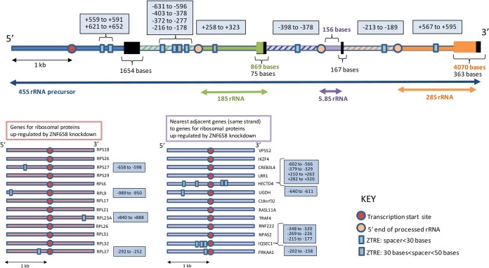 FIG 6