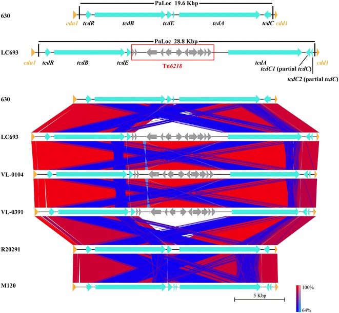 Fig. 2