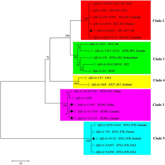 Fig. 1