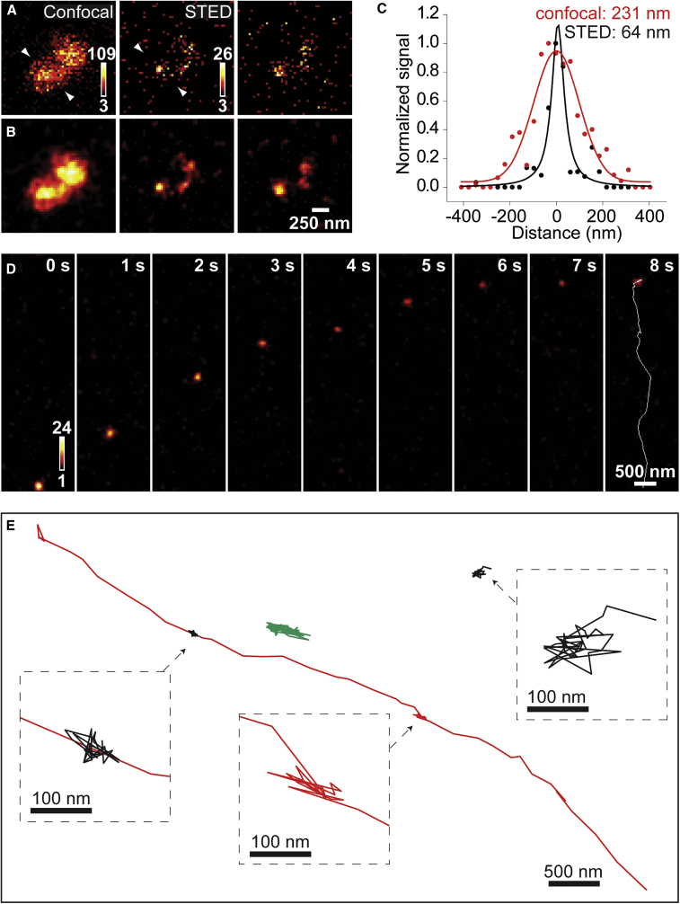 Figure 4