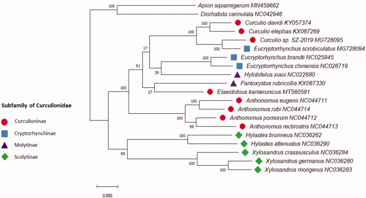 Figure 1.