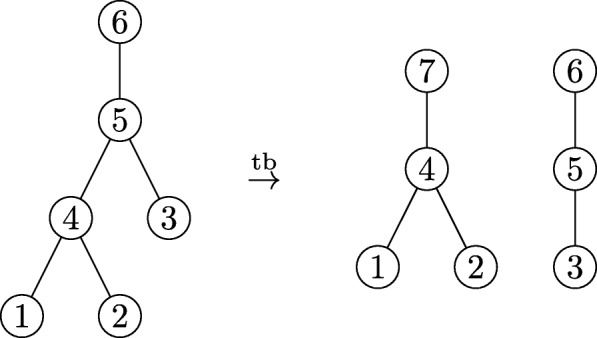 Fig. 8