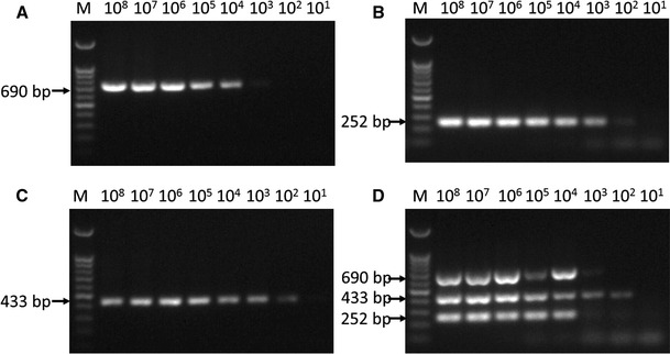 Fig. 3