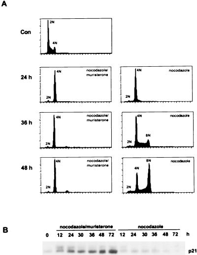 FIG. 6