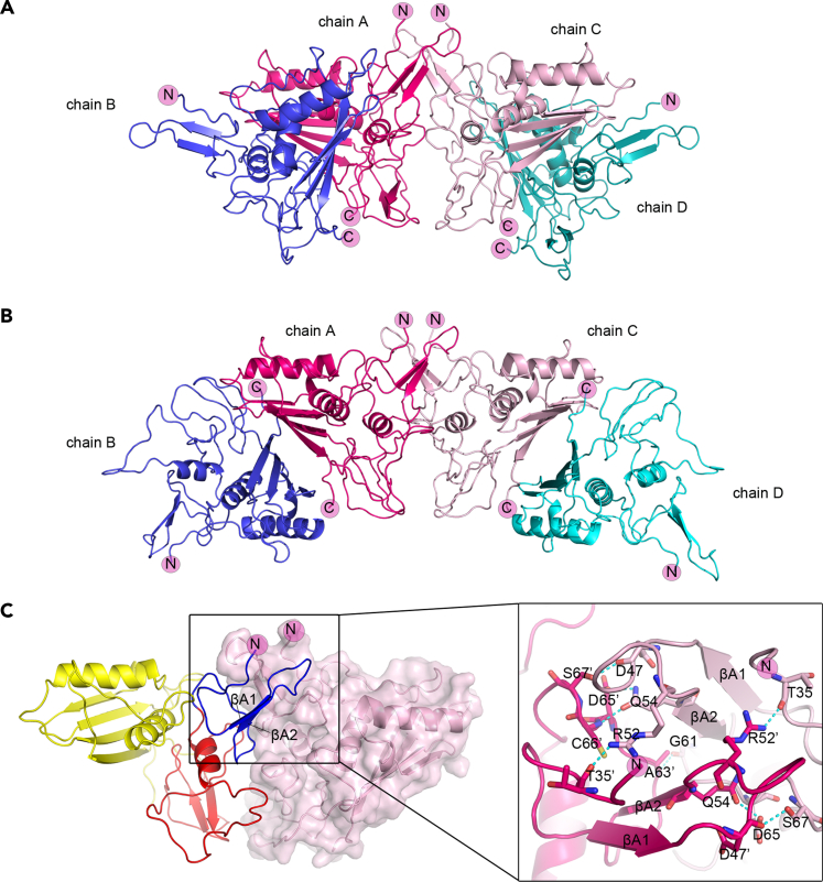 Figure 3