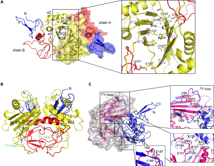 Figure 2