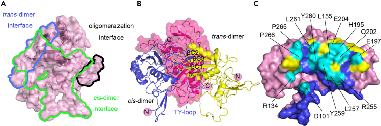 Figure 4