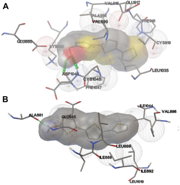 FIGURE 6