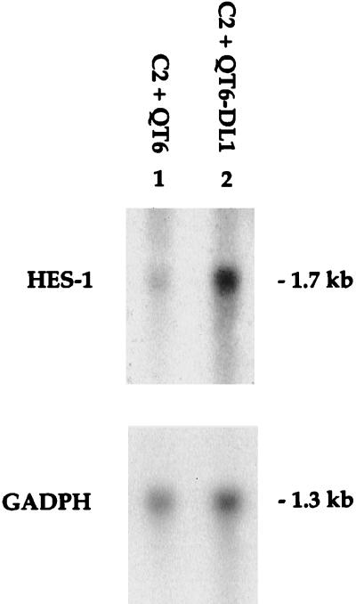 FIG. 8