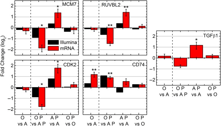 Fig. 7.