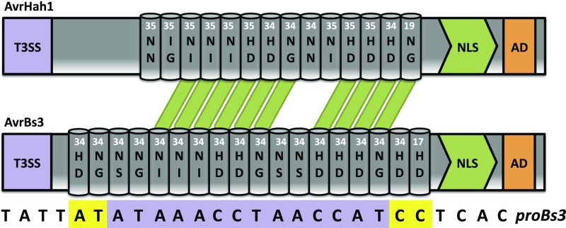 Fig. S3.