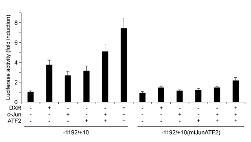 Figure 6