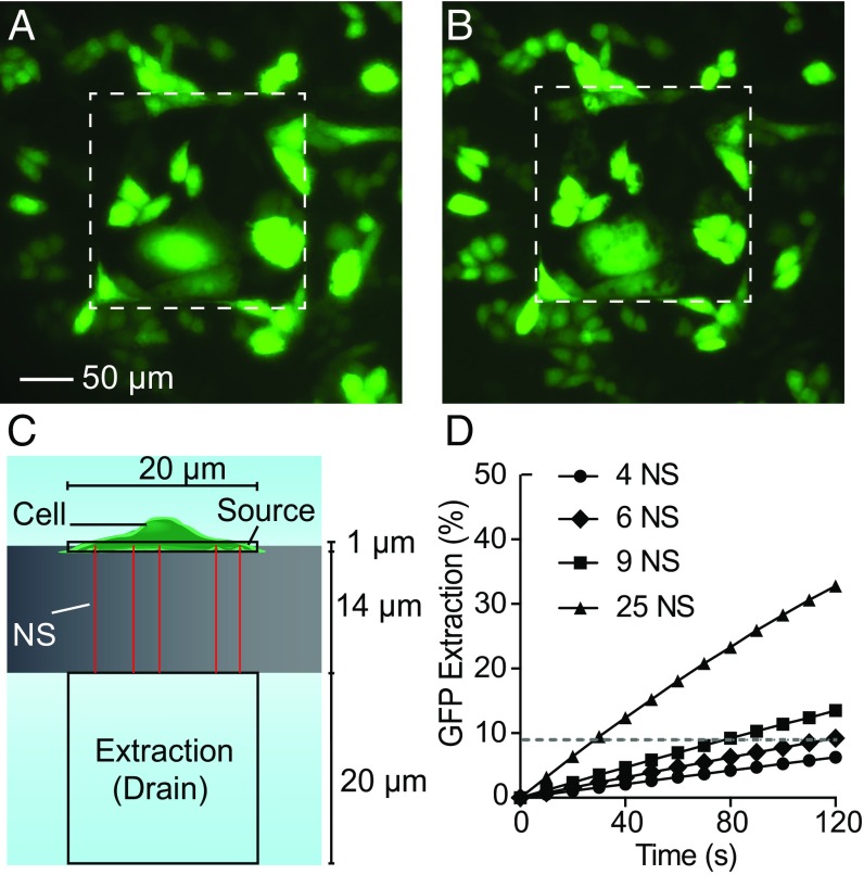 Fig. 4.