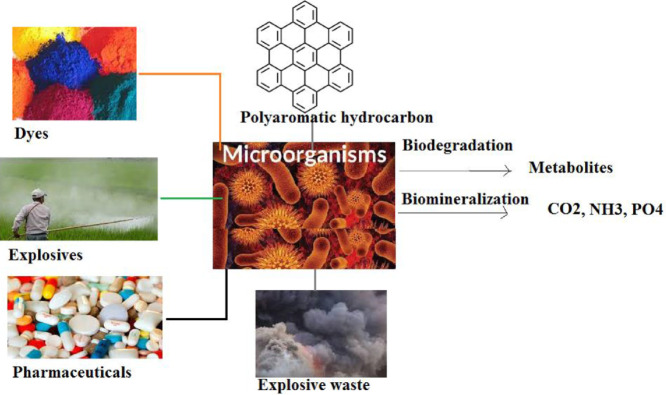 Image, graphical abstract