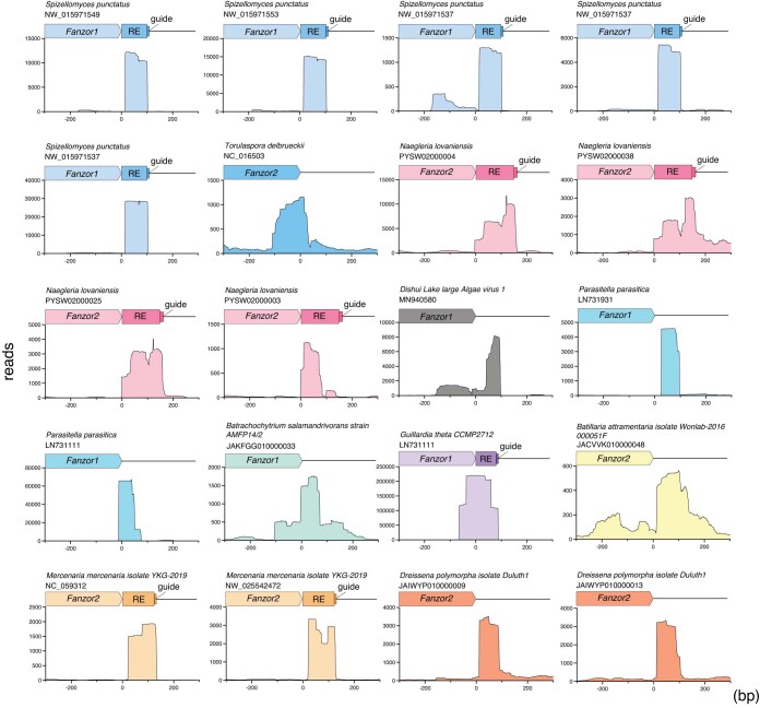 Extended Data Fig. 4