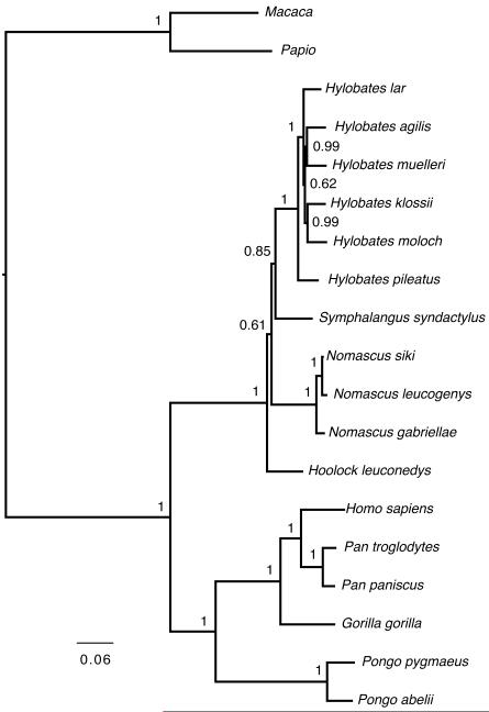 FIGURE 3