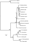 FIGURE 2