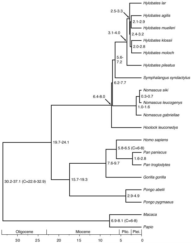 FIGURE 4