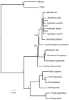 FIGURE 3