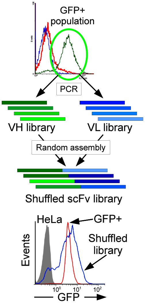 Fig. 4