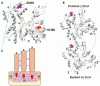 Figure 2.