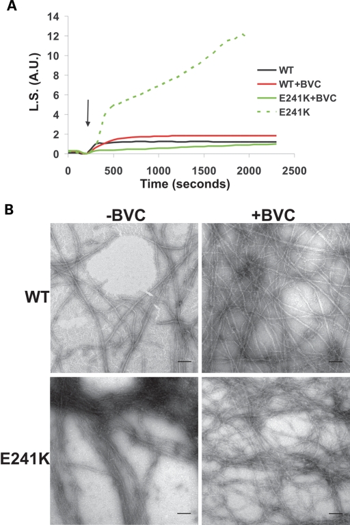 Figure 6.