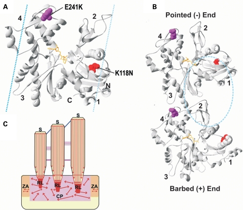 Figure 2.