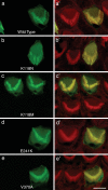 Figure 9.