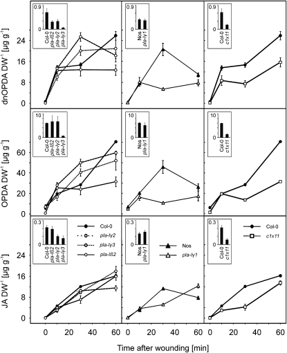 Figure 6.