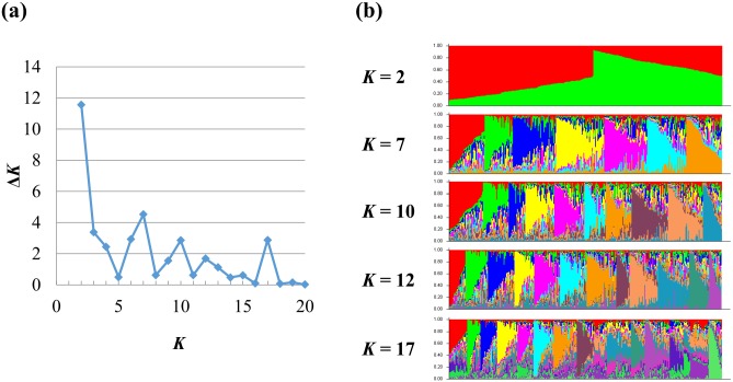 Fig 2