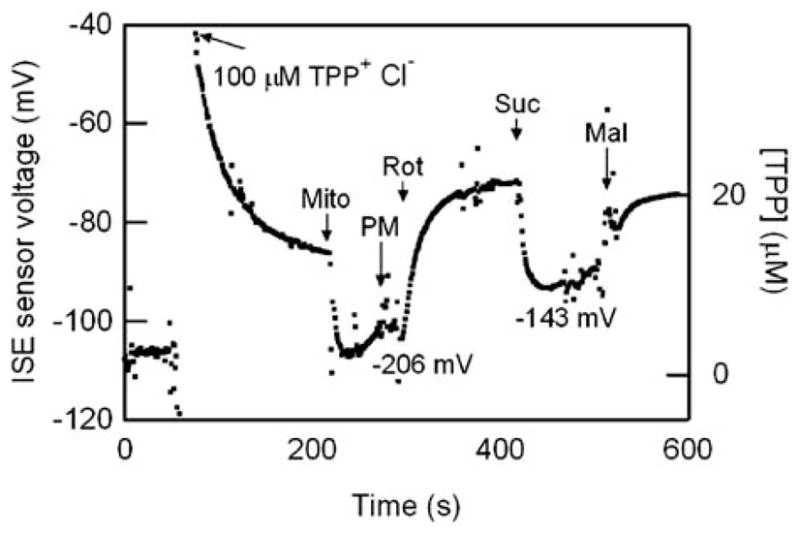 Fig. 5