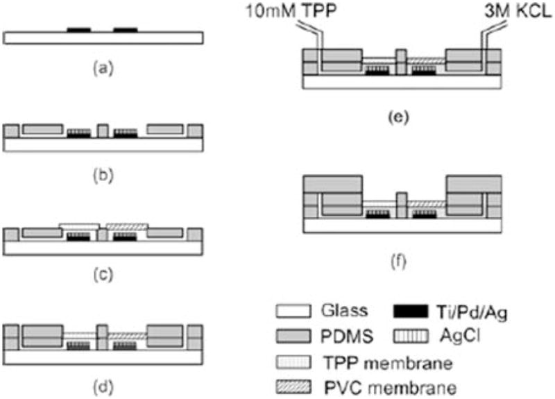 Fig. 2