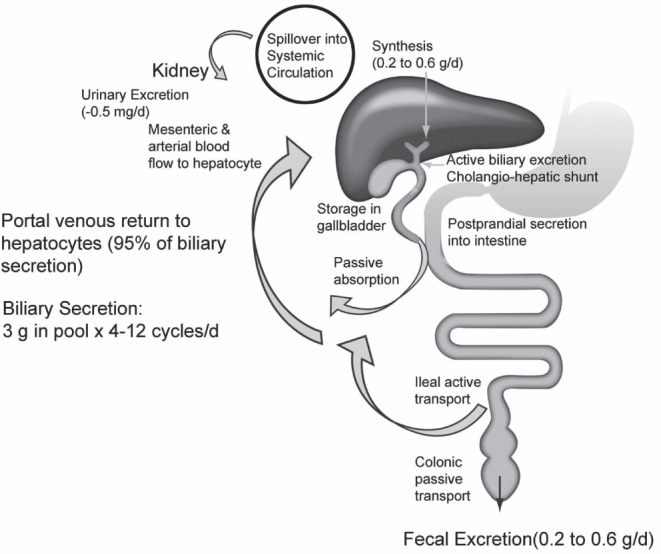 Figure 1)