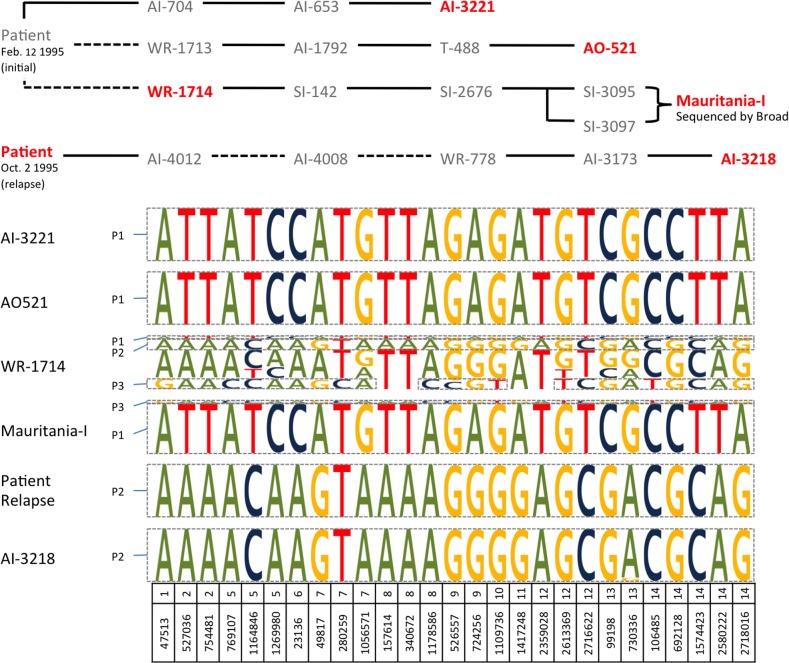 Fig 6