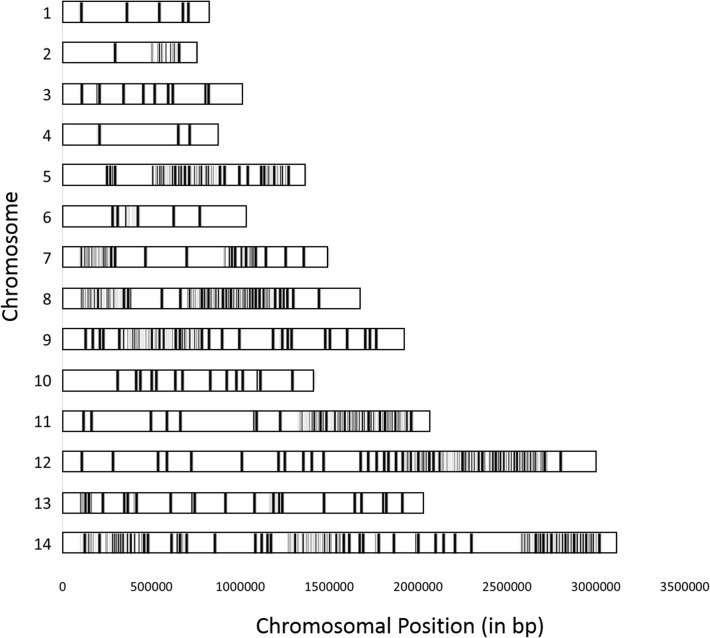 Fig 5