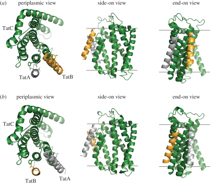 Figure 4.