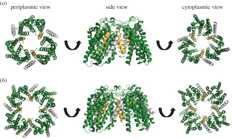 Figure 7.