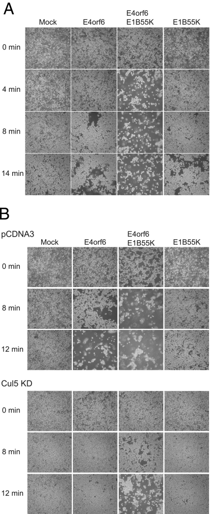 FIG. 7.