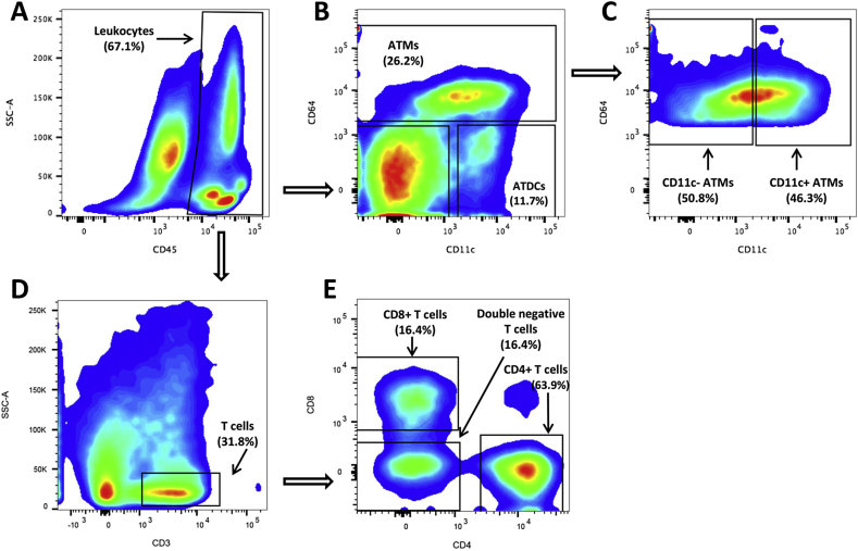 Figure 2