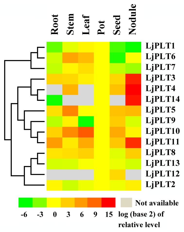 Fig 4