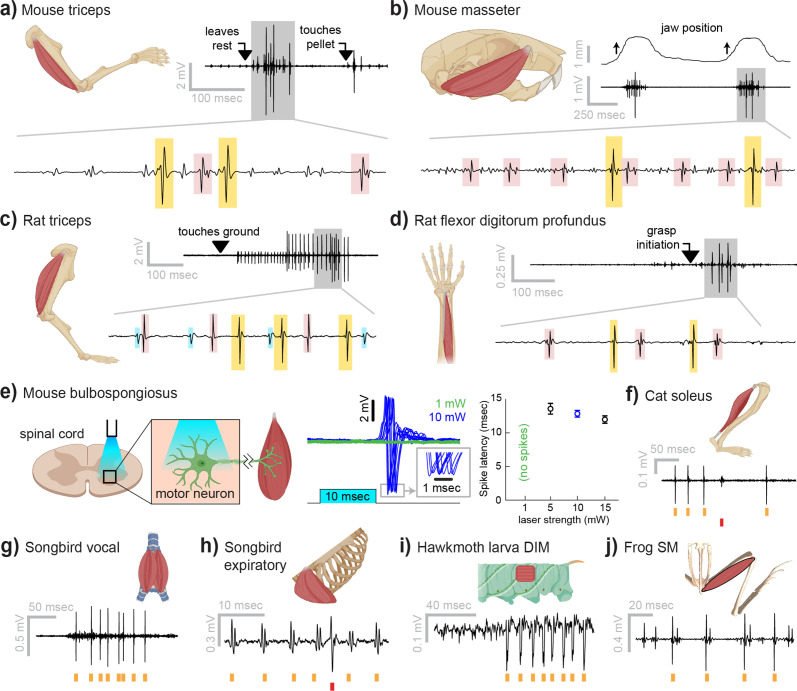 Figure 2.