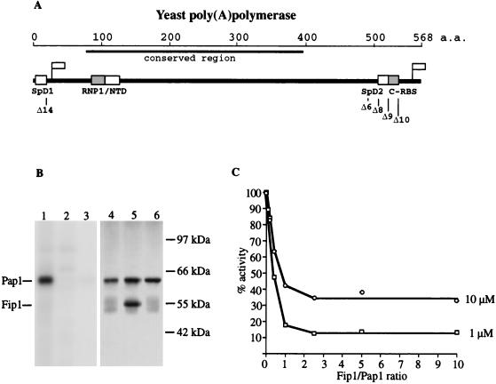 FIG. 1