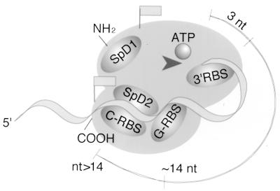 FIG. 8