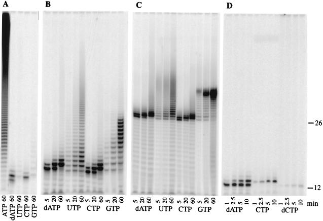 FIG. 7