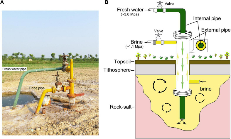 FIGURE 1